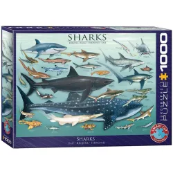 Puzzle Eurographics 1000 piezas Tiburones 6000-0079