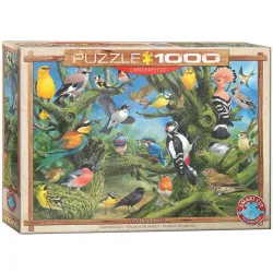 Puzzle Eurographics 1000 piezas Jardín de pájaros 6000-0967