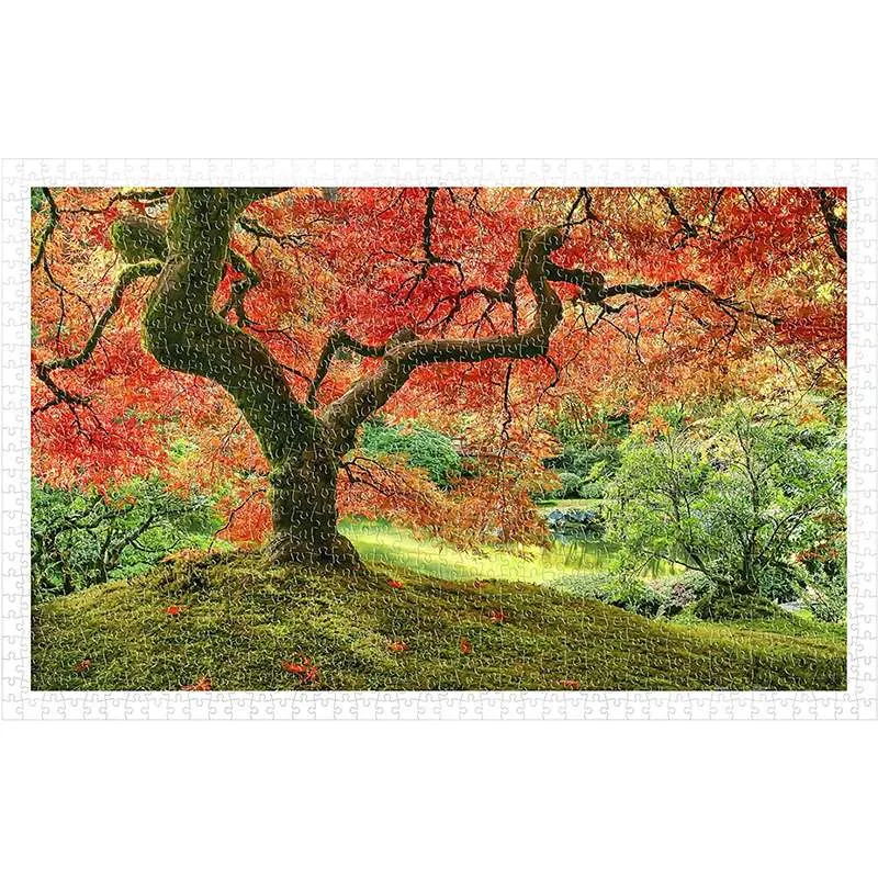 Puzzle Pintoo Jardín japonés en Portland de 1000 piezas H2296