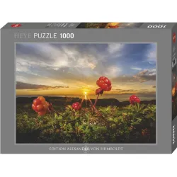 Puzzle Heye 1000 piezas Mora de los pantanos 30016