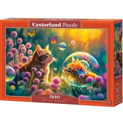 Puzzle Castorland Mañana mágica de 500 piezas B-53841