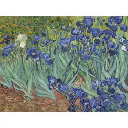 Puzzle Grafika Lirios - Vincent van Gogh, 1889 de 2000 piezas