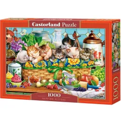 Puzzle Castorland Gatitos durmiendo de 1000 piezas C-105069